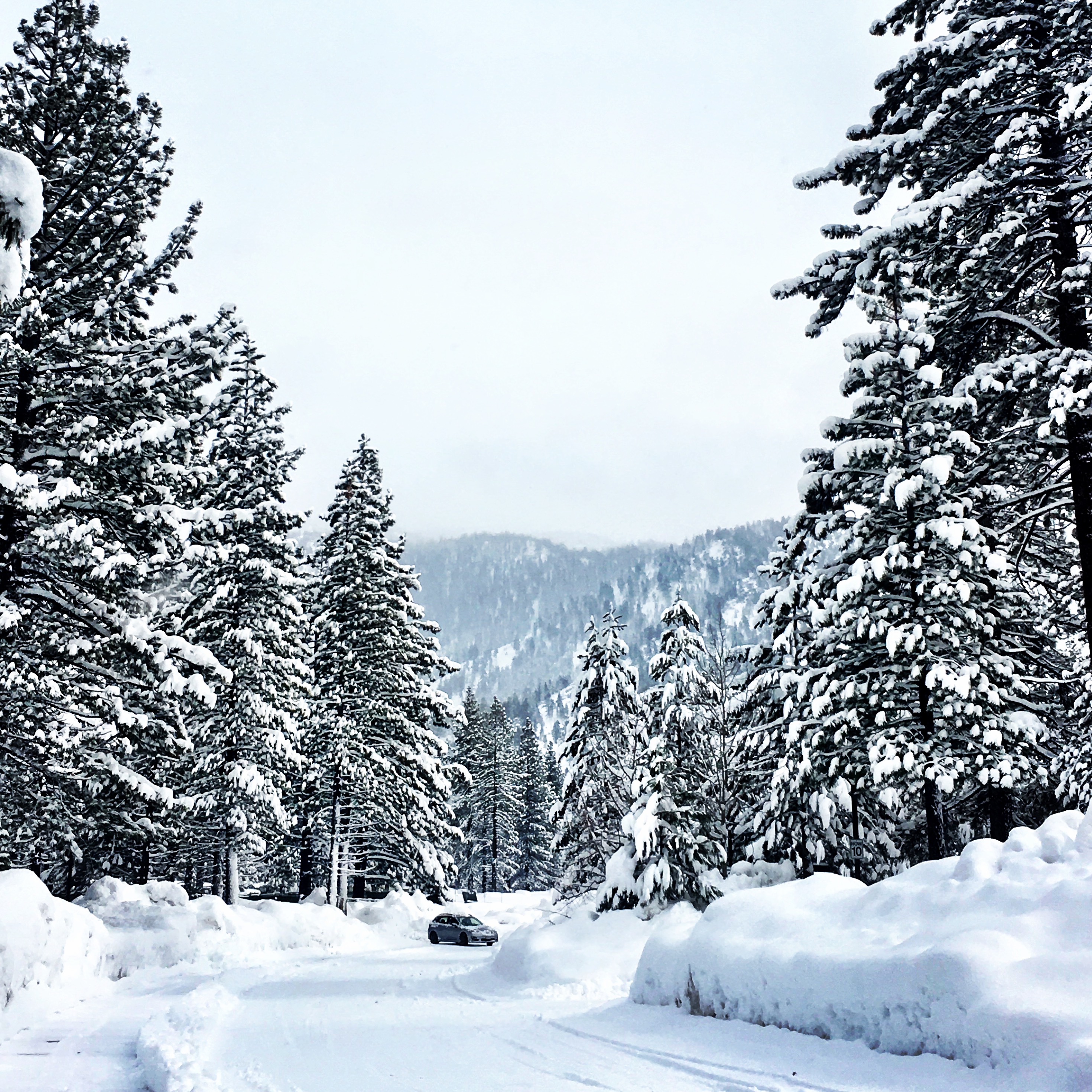 Winter Closures at LTCC