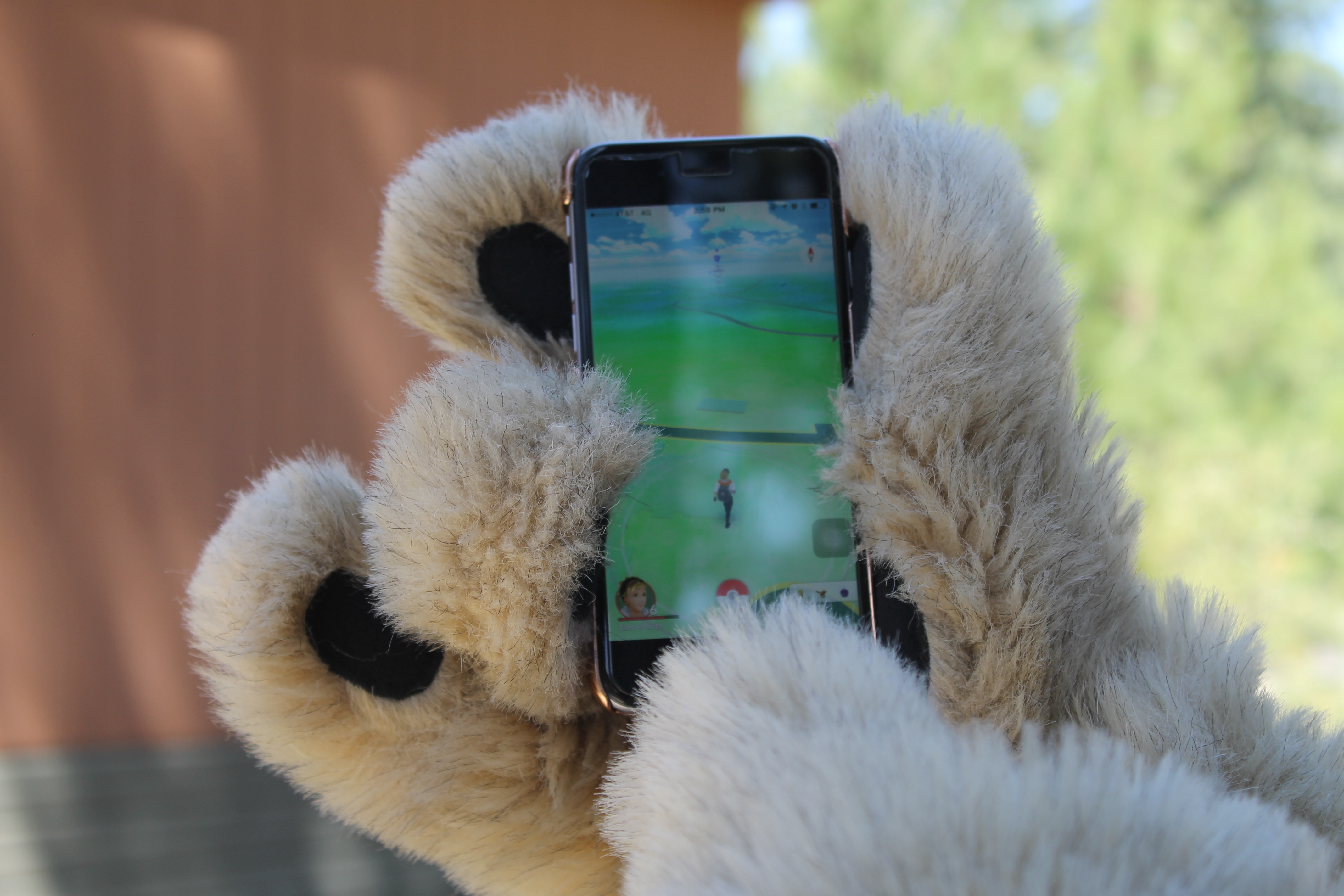LTCC Coyote holding a smartphone