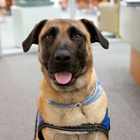 Photo of Yogi Bear