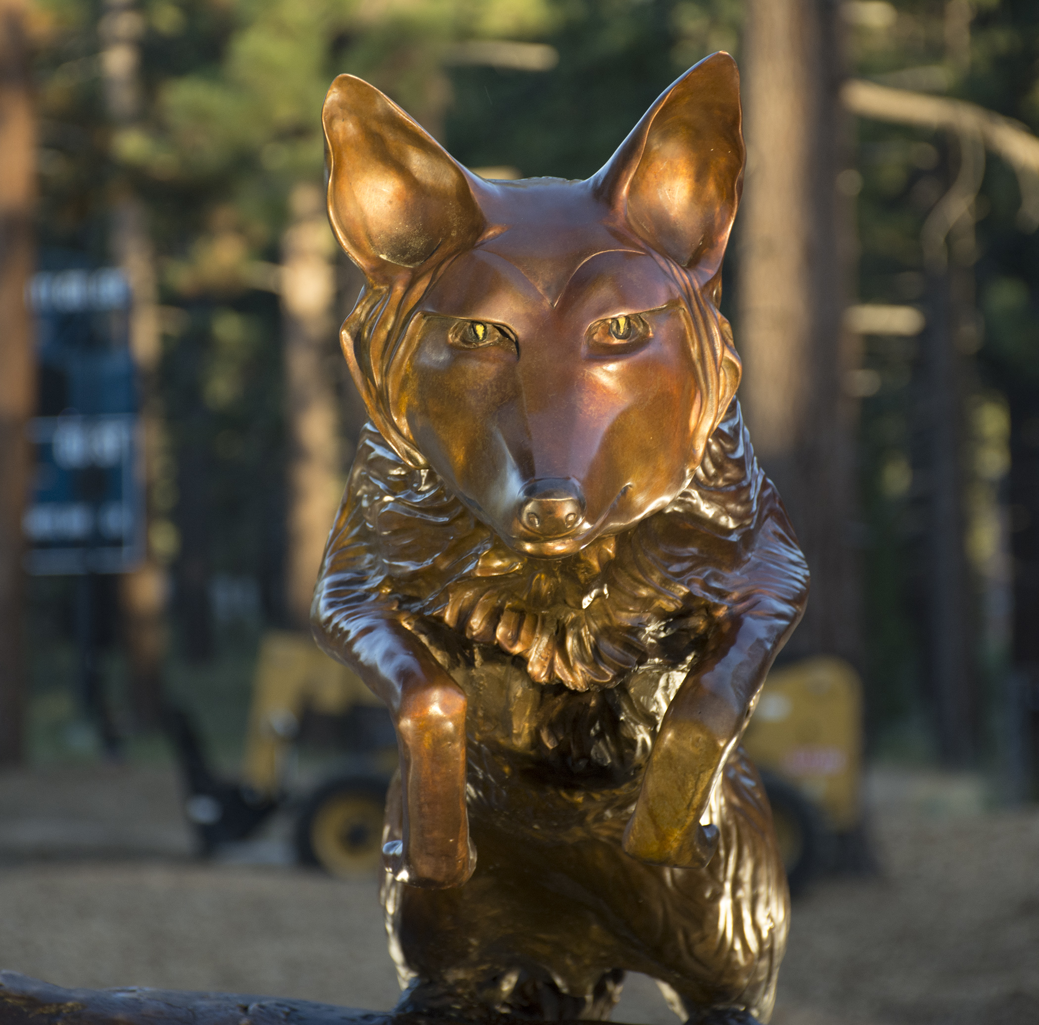 Close-up of the bronze coyote statue at the center of LTCC's Coyote Legacy Plaza