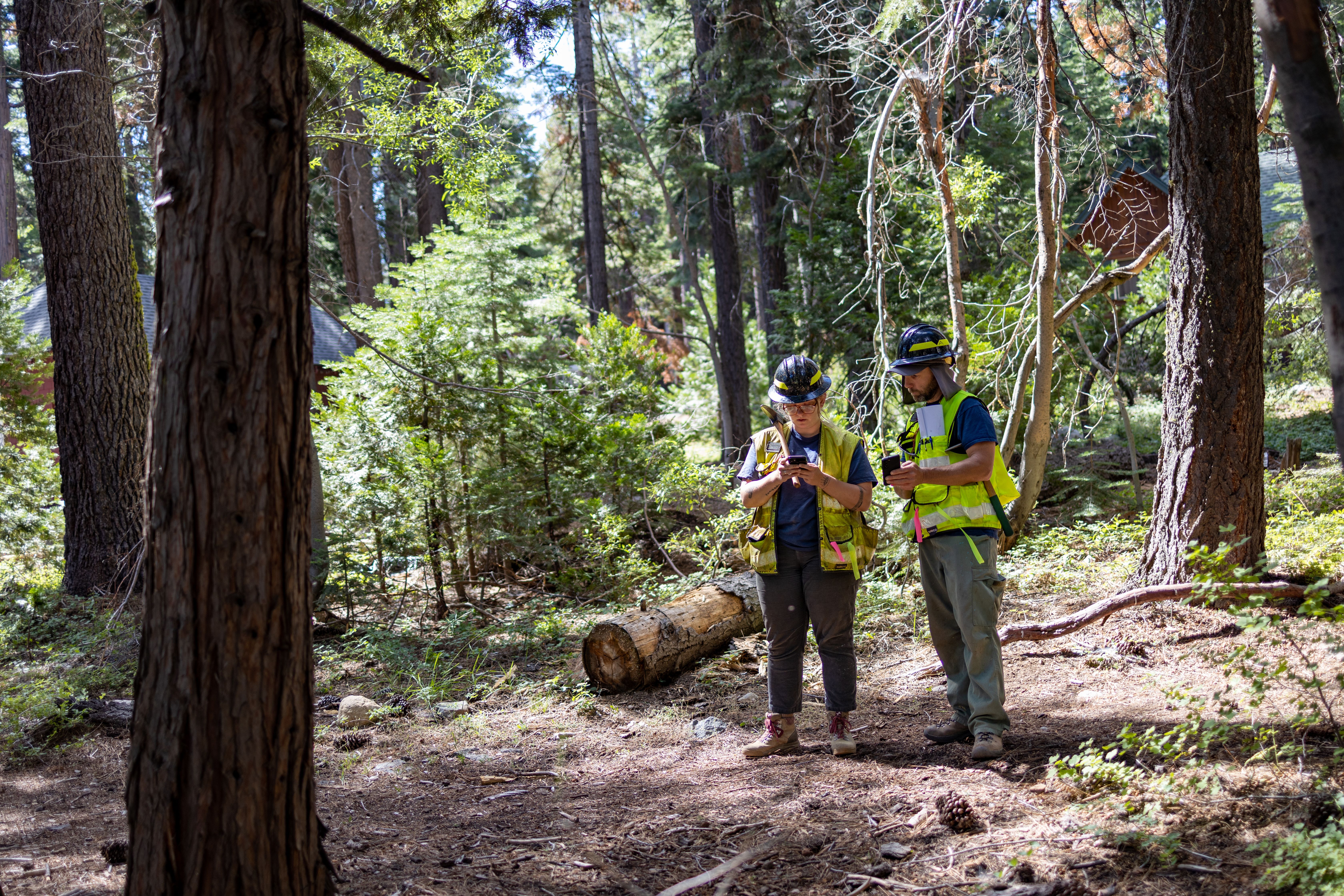photo of Forestry workers, provided by the California Tahoe Conservancy