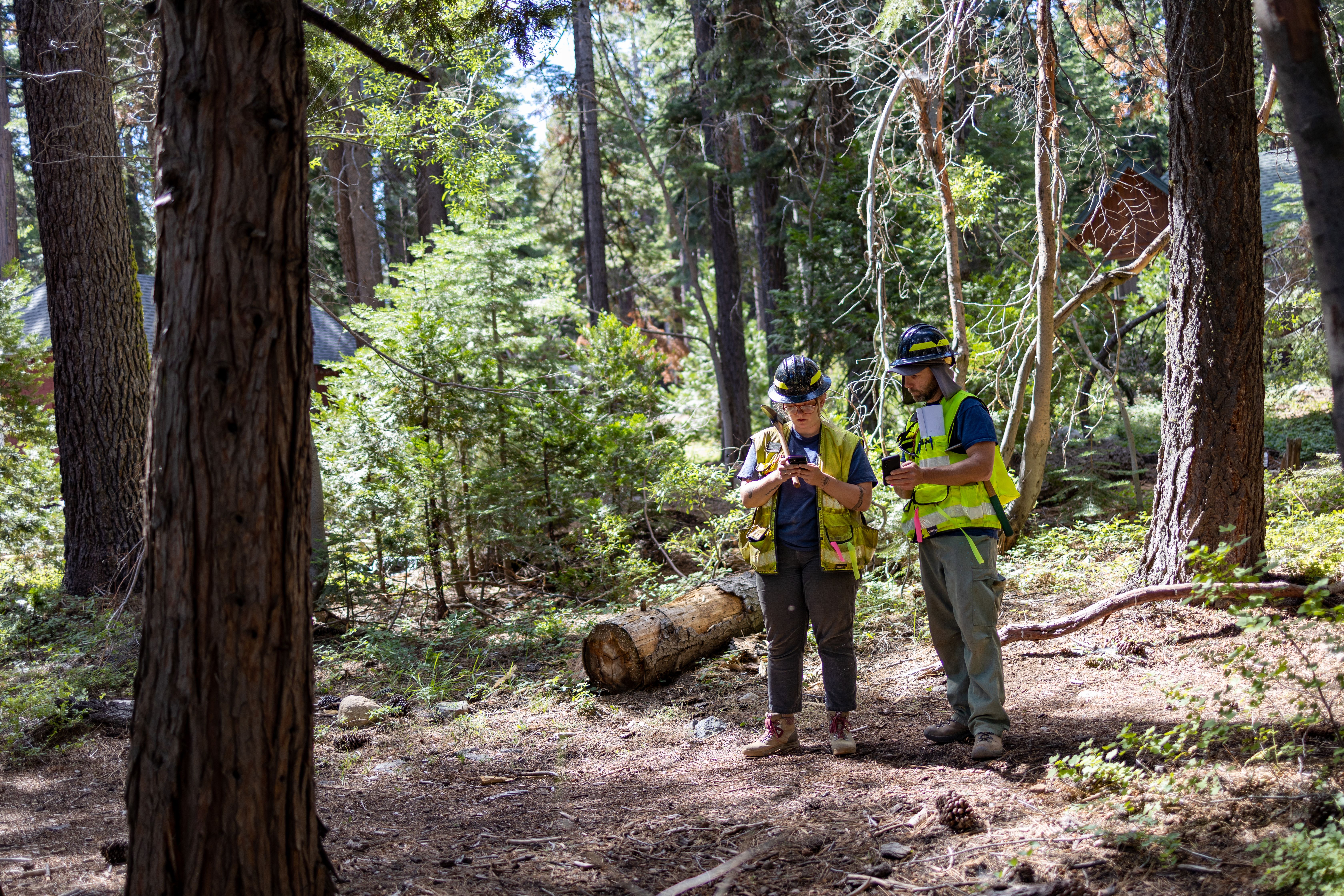 LTCC Receives $1.2 Million to Support Forestry, Fire Programs