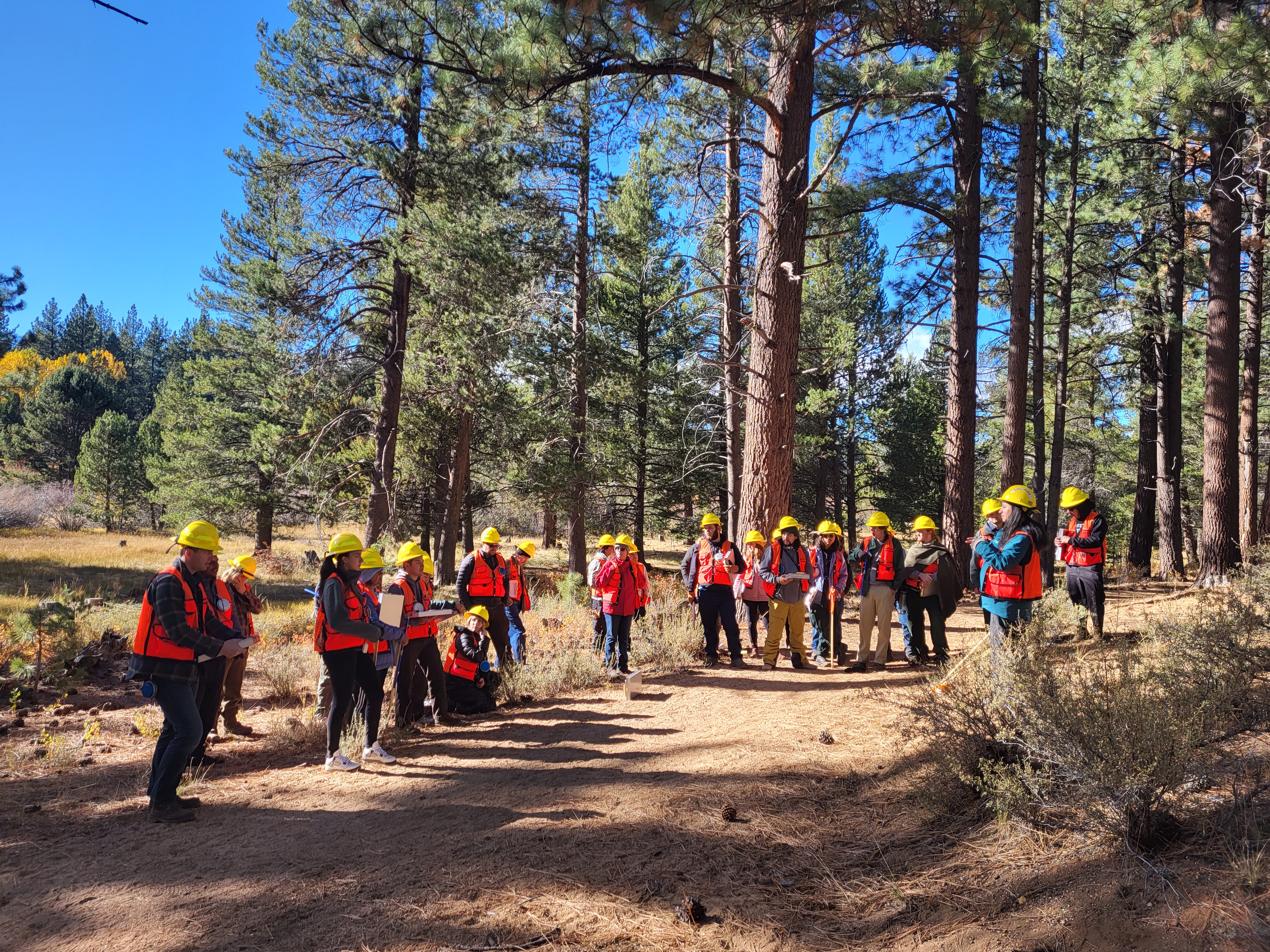 LTCC Forestry students learning outdoors