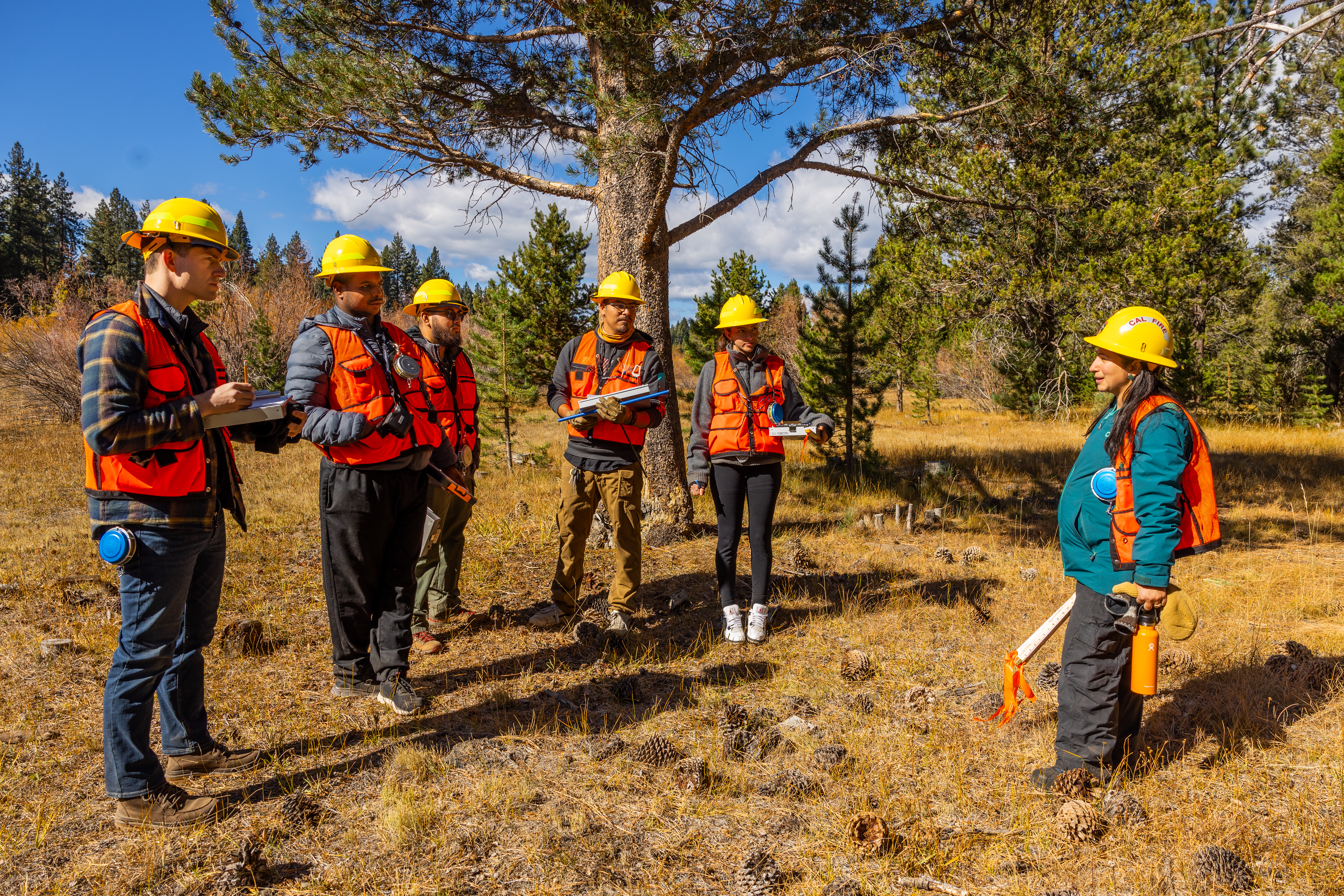 Forestry students learning in the field