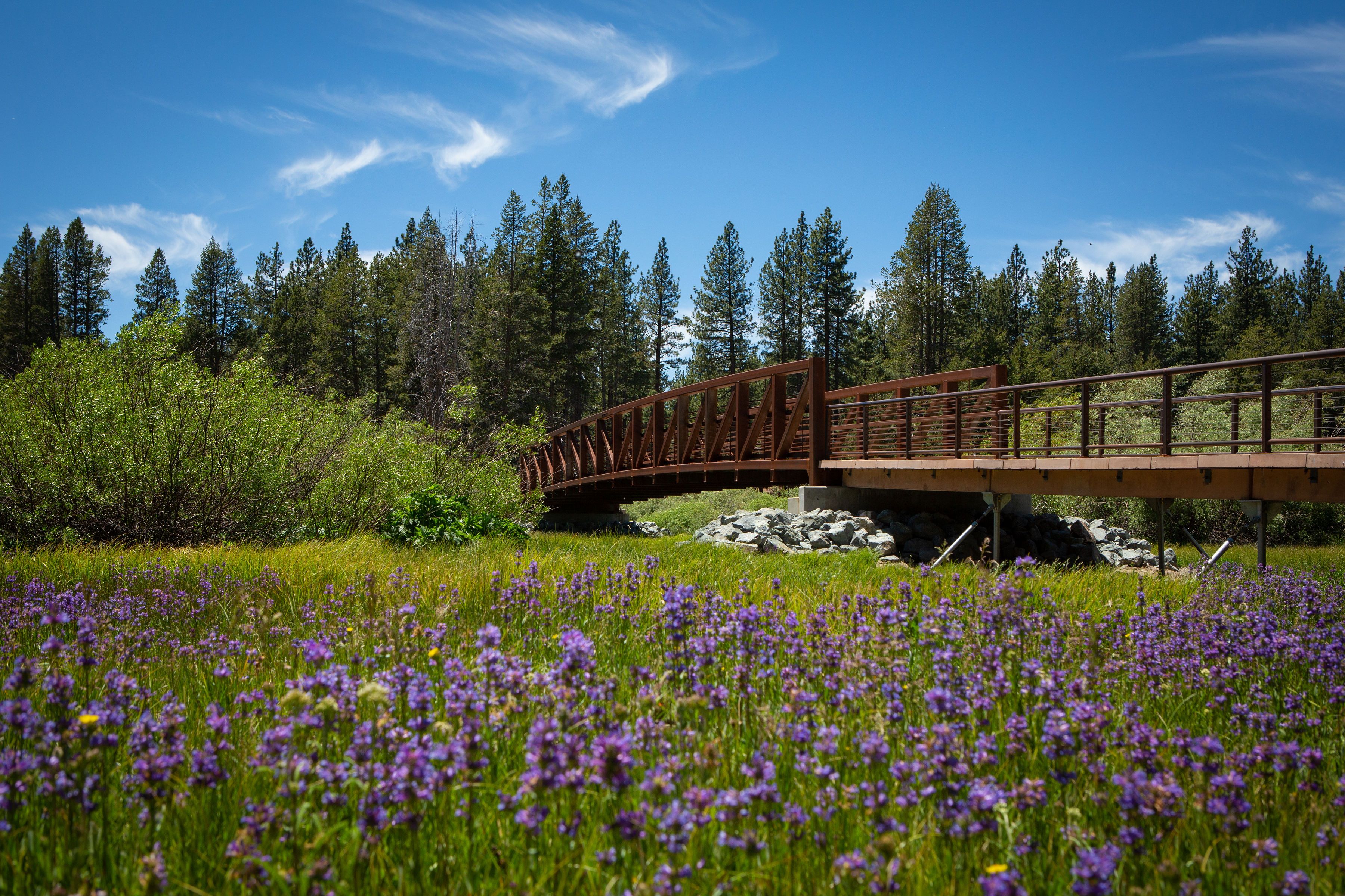 LTCC, Tahoe Conservancy Celebrate Completion of Critical Portion of Greenway Trail