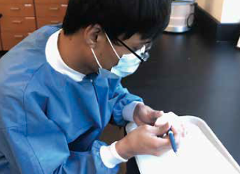 LTCC student conducting labwork