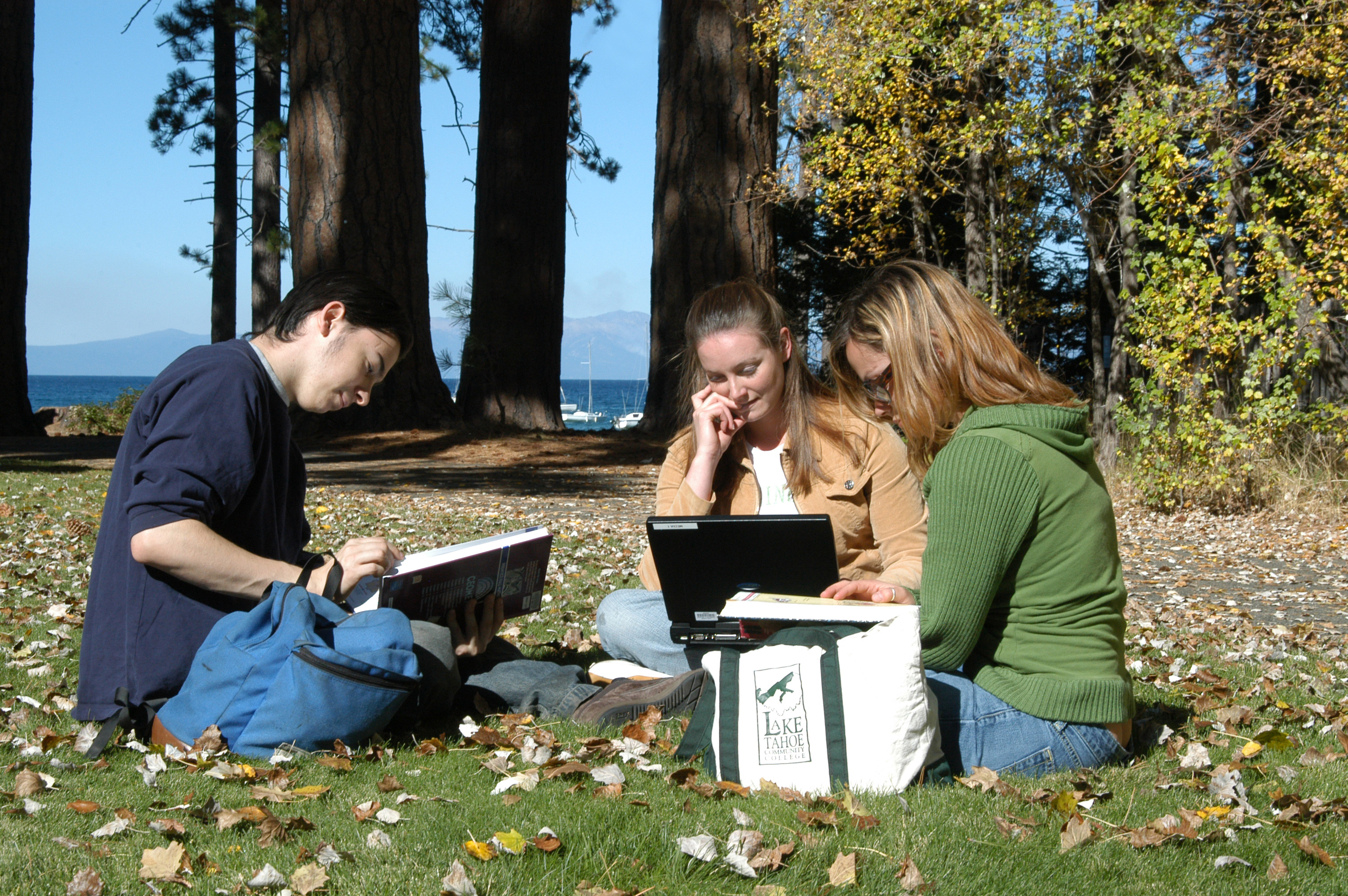 Students studying together outside