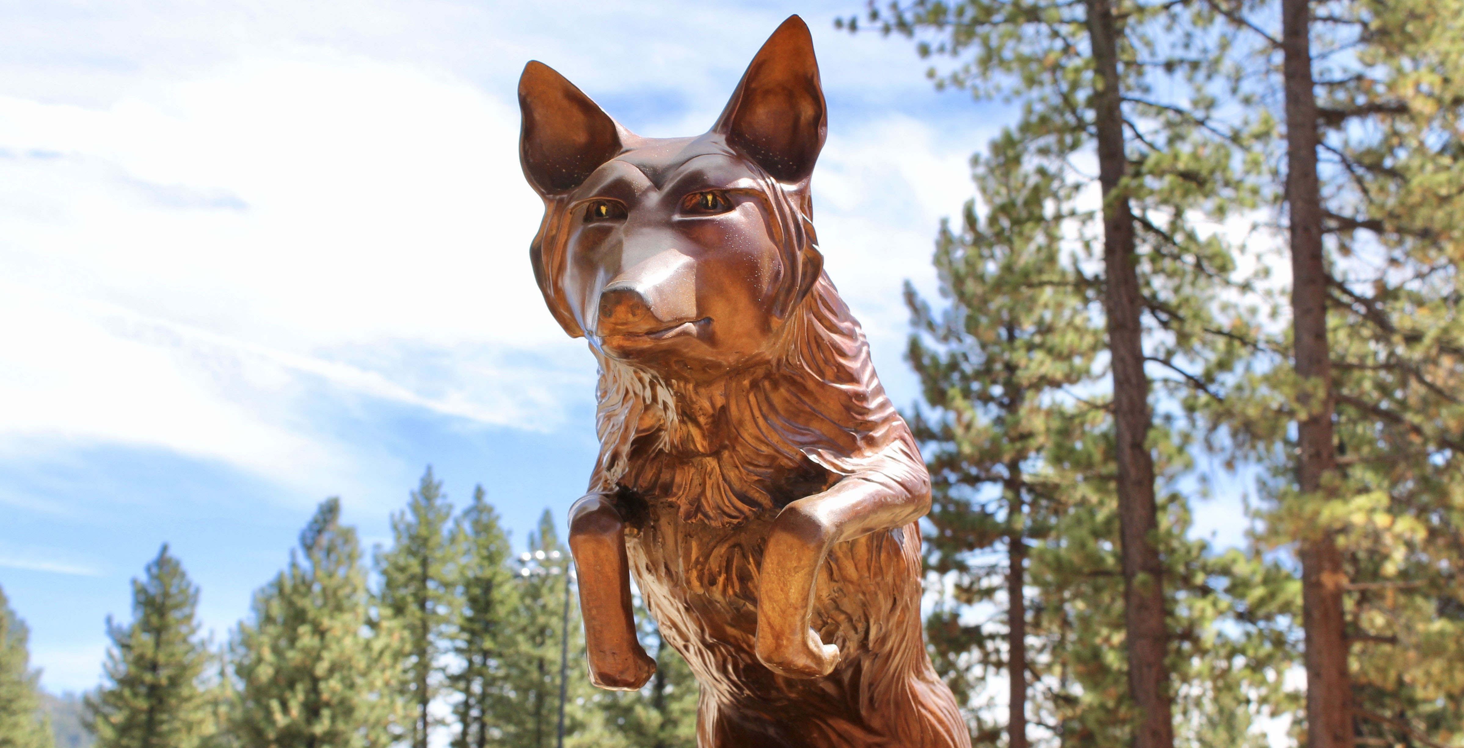 Coyote Statue
