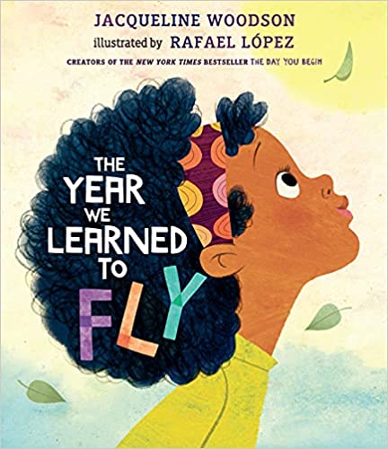 cover for The Year We Learned to Fly