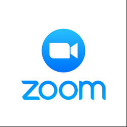 Zoom Logo